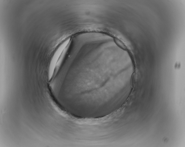 X0000091060009200709041208