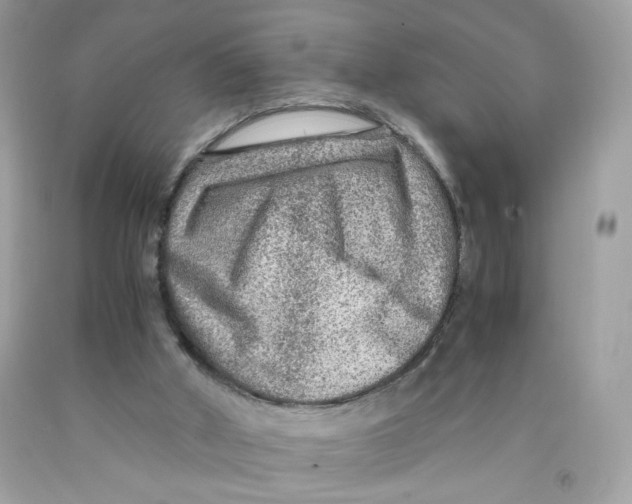 X0000091060010200709041208