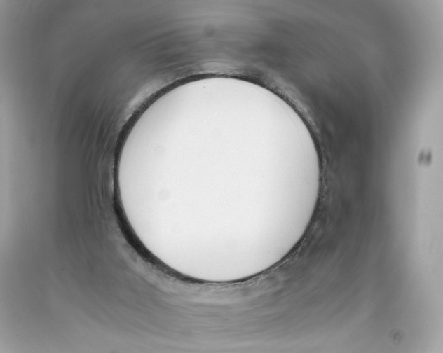 X0000091060011200709041208