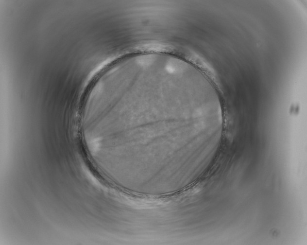 X0000091060012200709041208