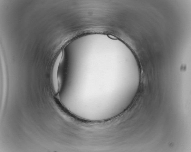 X0000091060013200709041208