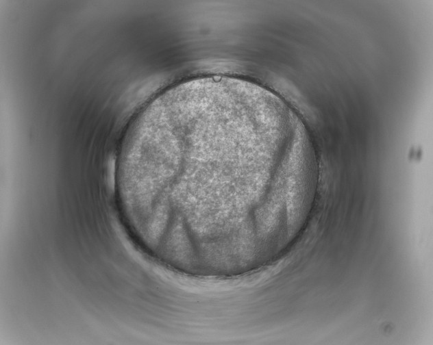 X0000091060014200709041208