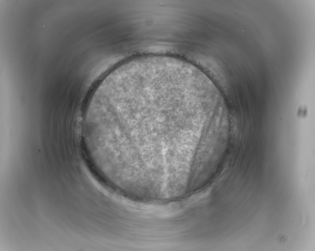 X0000091060016200709041208