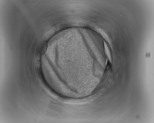 X0000091060017200709041208