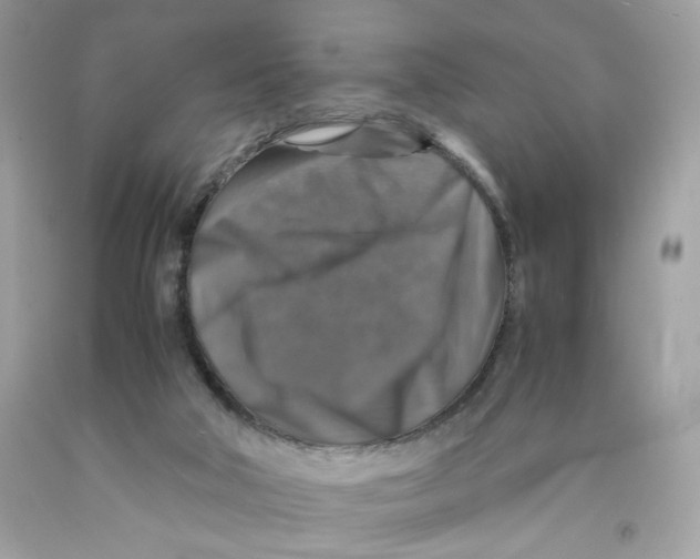 X0000091060018200709041208