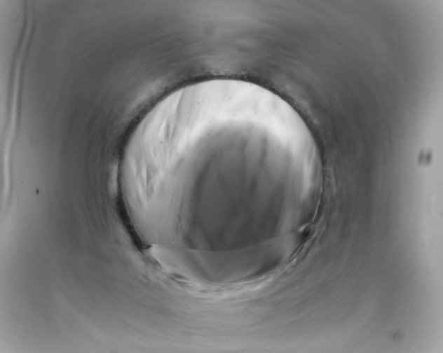 X0000091060019200709041208