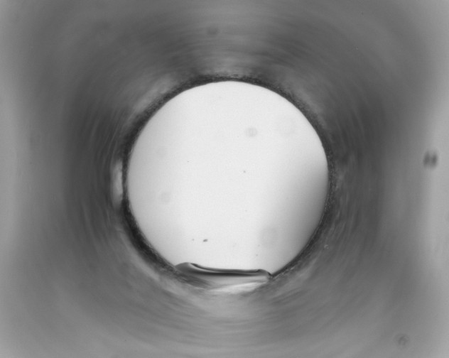 X0000091060020200709041208