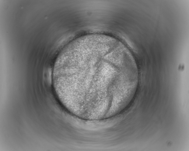 X0000091060022200709041208