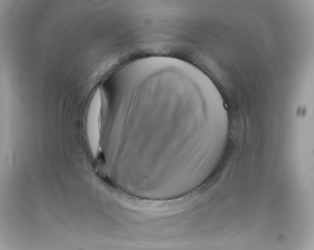 X0000091060023200709041208