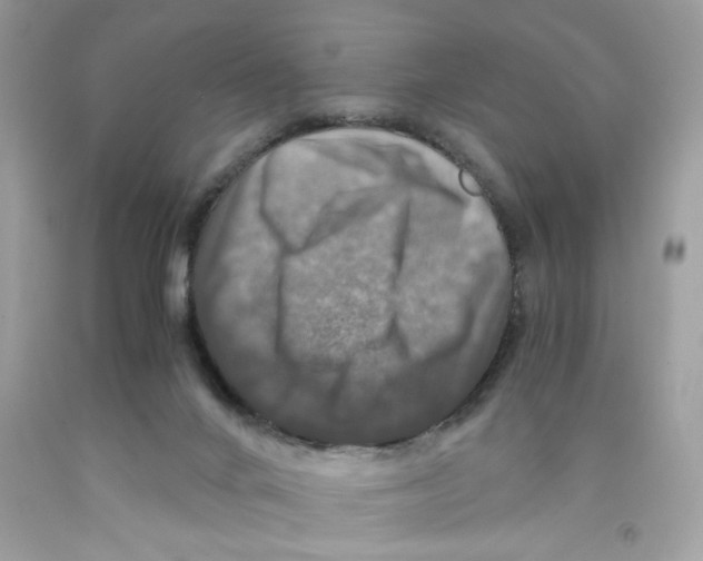 X0000091060024200709041208