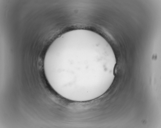 X0000091060025200709041208