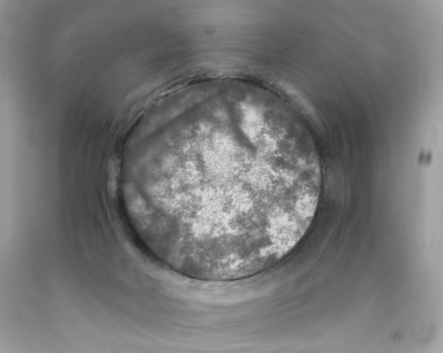 X0000091060026200709041208