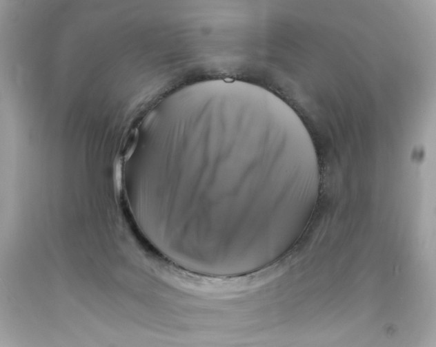 X0000091060027200709041208