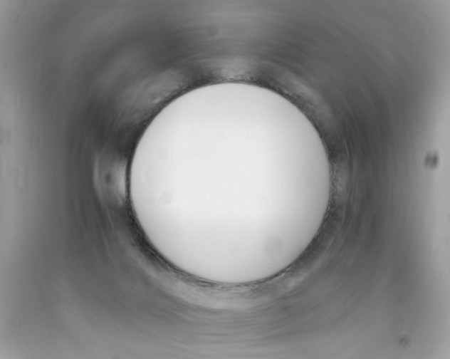 X0000091060028200709041208