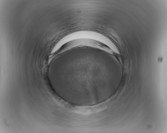 X0000091060029200709041208