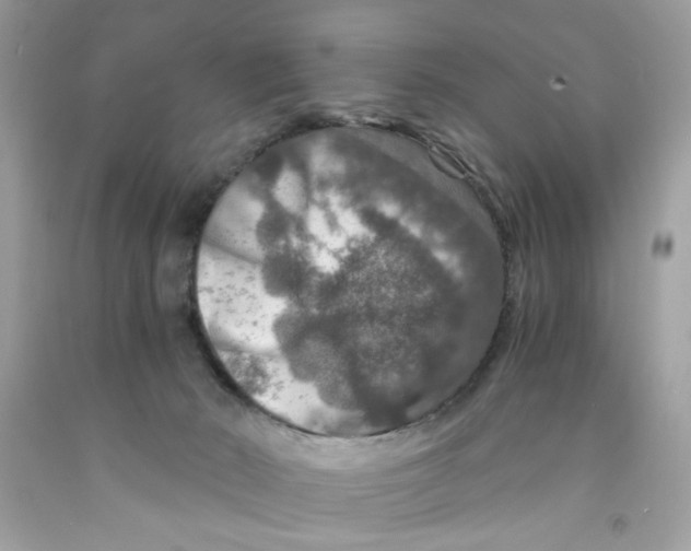 X0000091060030200709041208