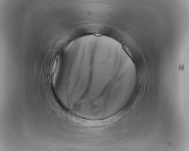 X0000091060031200709041208