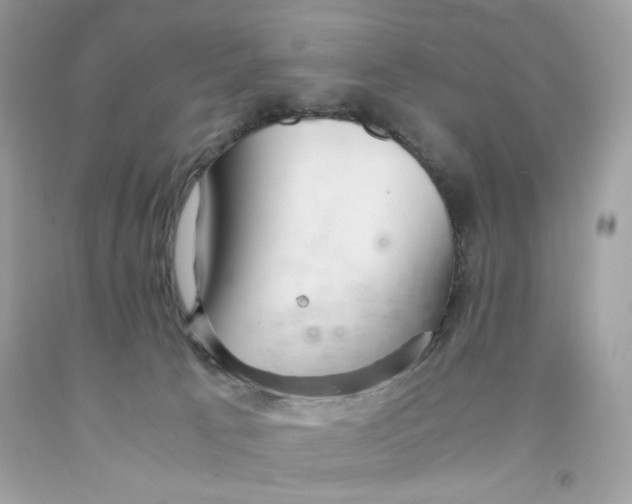 X0000091060033200709041208