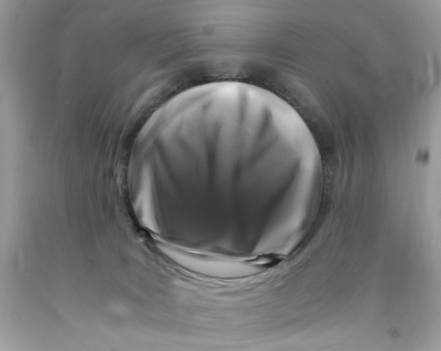 X0000091060035200709041208