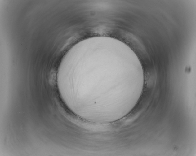 X0000091060036200709041208