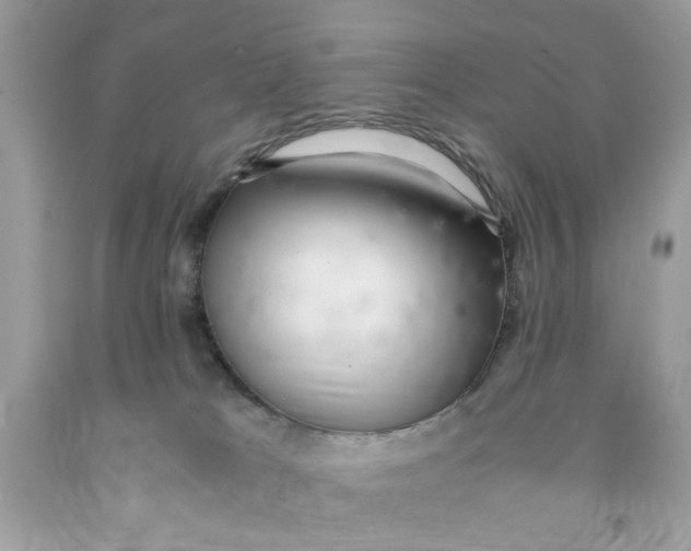 X0000091060037200709041208