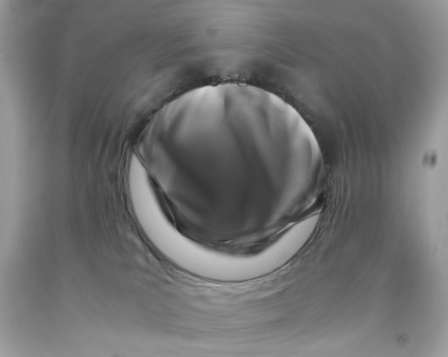 X0000091060039200709041208