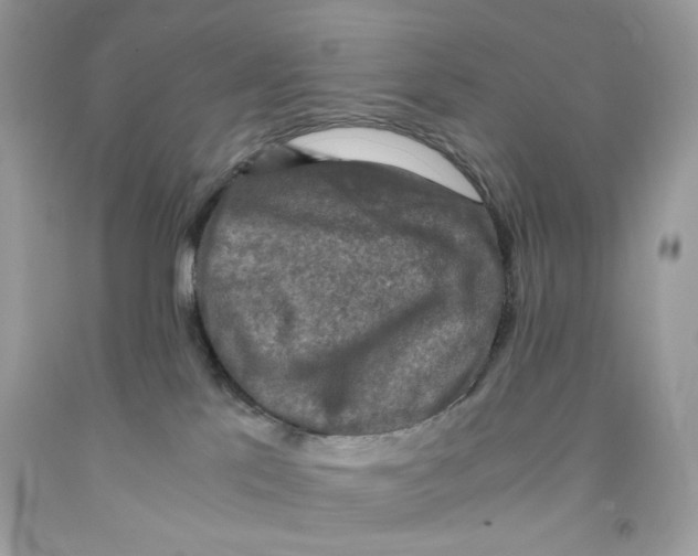 X0000091060041200709041208