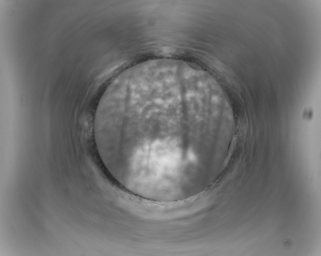 X0000091060043200709041208