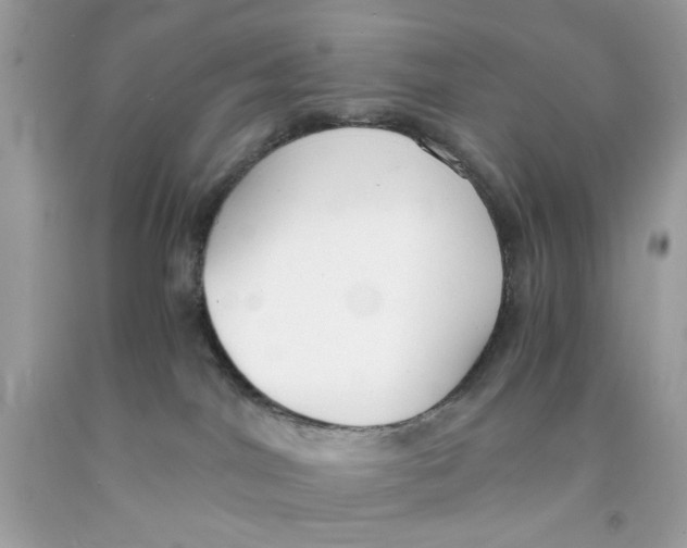 X0000091060044200709041208