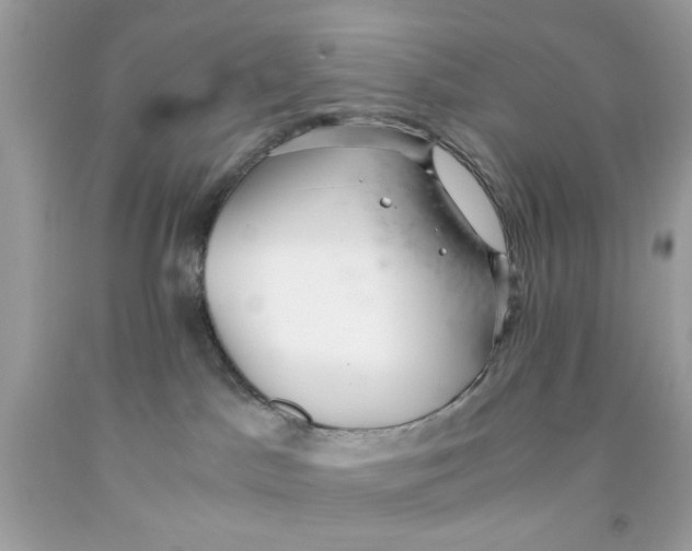 X0000091060045200709041208