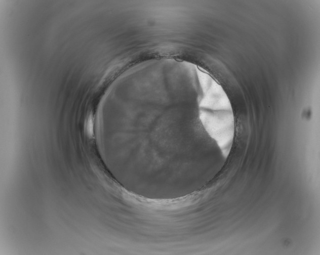 X0000091060046200709041208