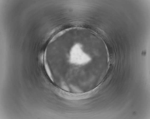 X0000091060047200709041208