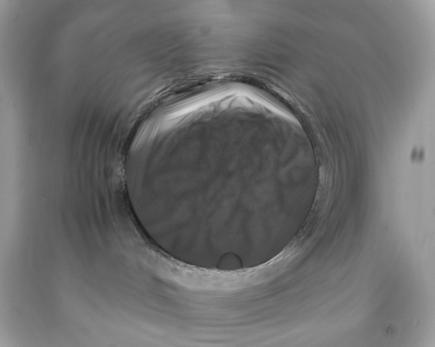 X0000091060048200709041208