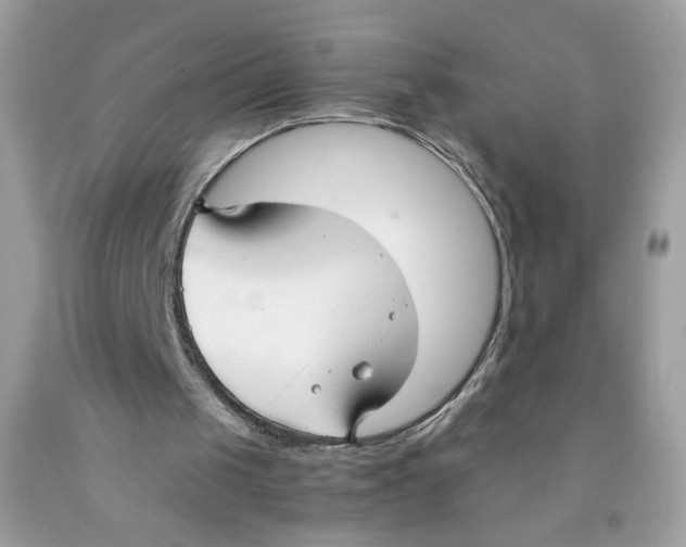 X0000091060049200709041207