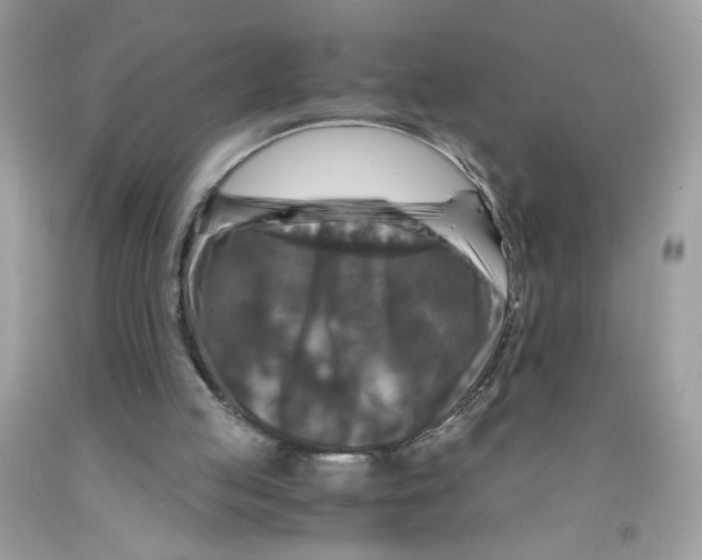 X0000091060053200709041207