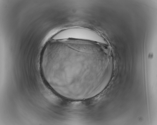 X0000091060054200709041207