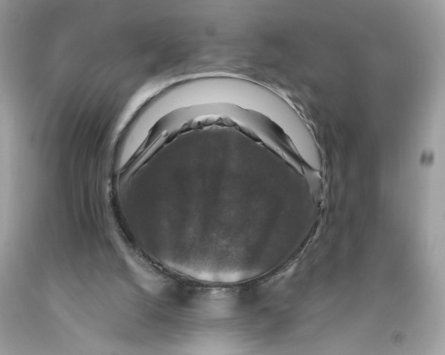 X0000091060056200709041207