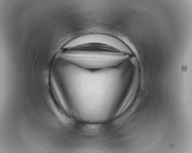 X0000091060057200709041207