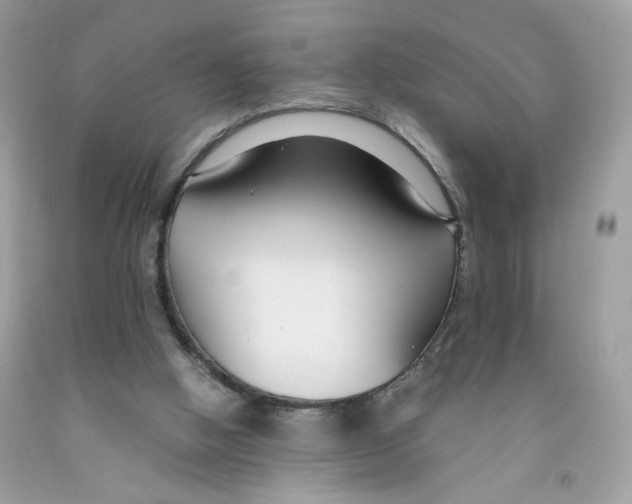 X0000091060058200709041207