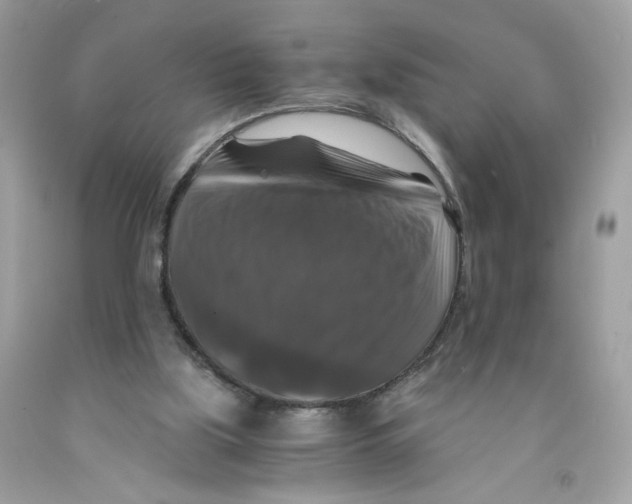 X0000091060059200709041207