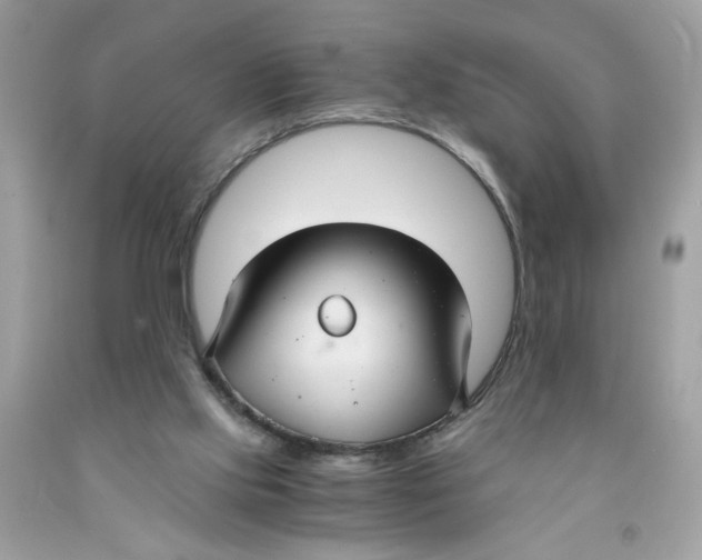 X0000091060061200709041207