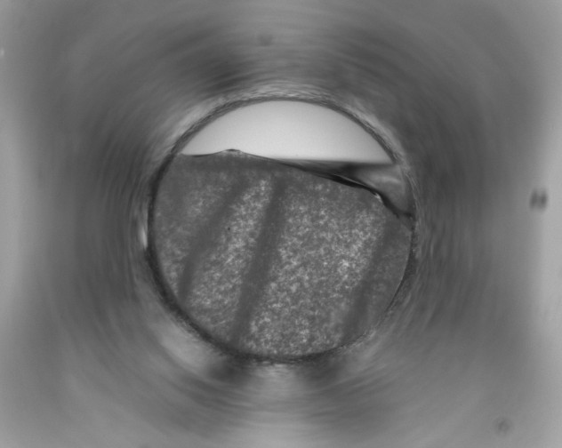 X0000091060062200709041207