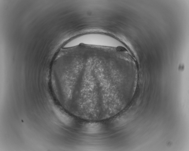 X0000091060063200709041207