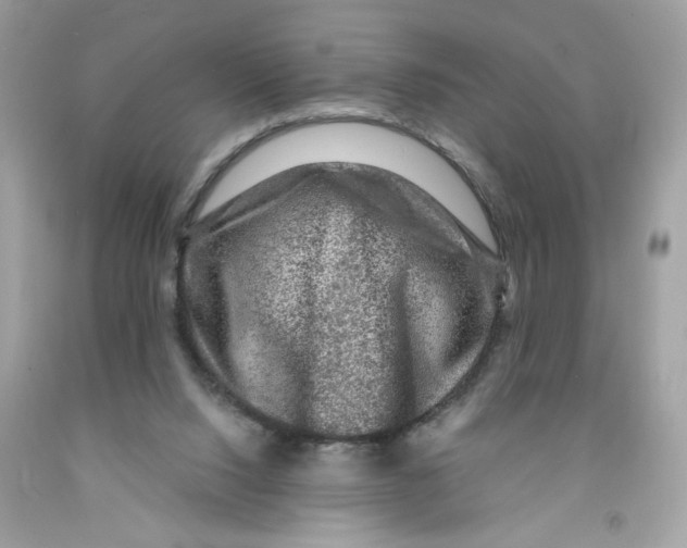 X0000091060064200709041207