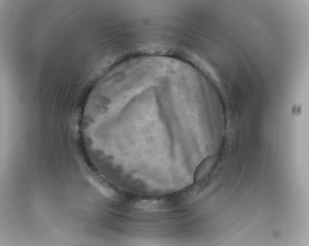 X0000091060065200709041207