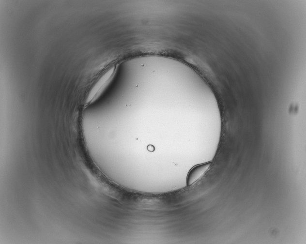 X0000091060066200709041207