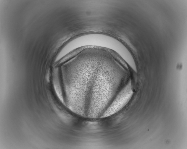 X0000091060068200709041207