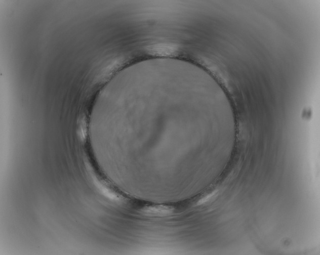 X0000091060069200709041207