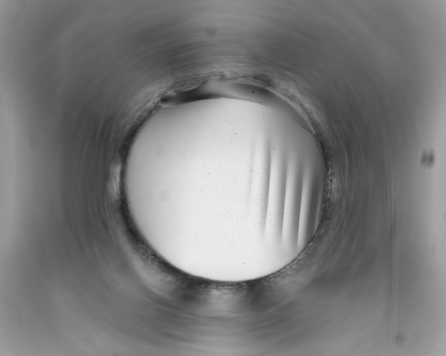 X0000091060070200709041207