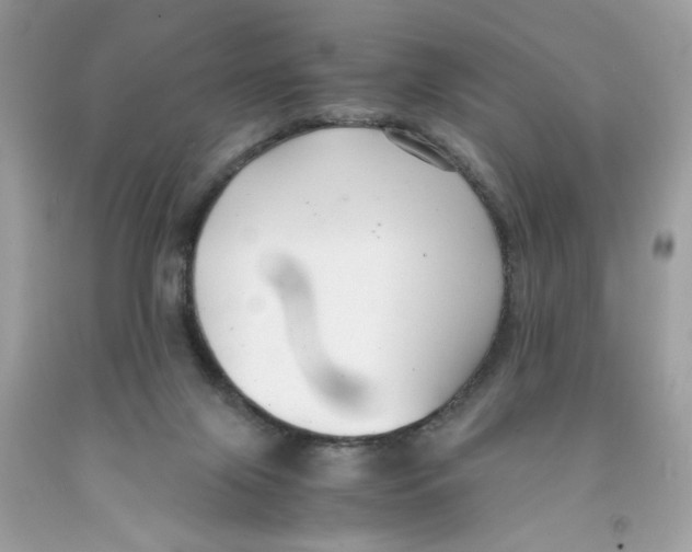 X0000091060071200709041207